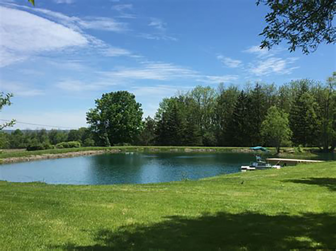 Pond